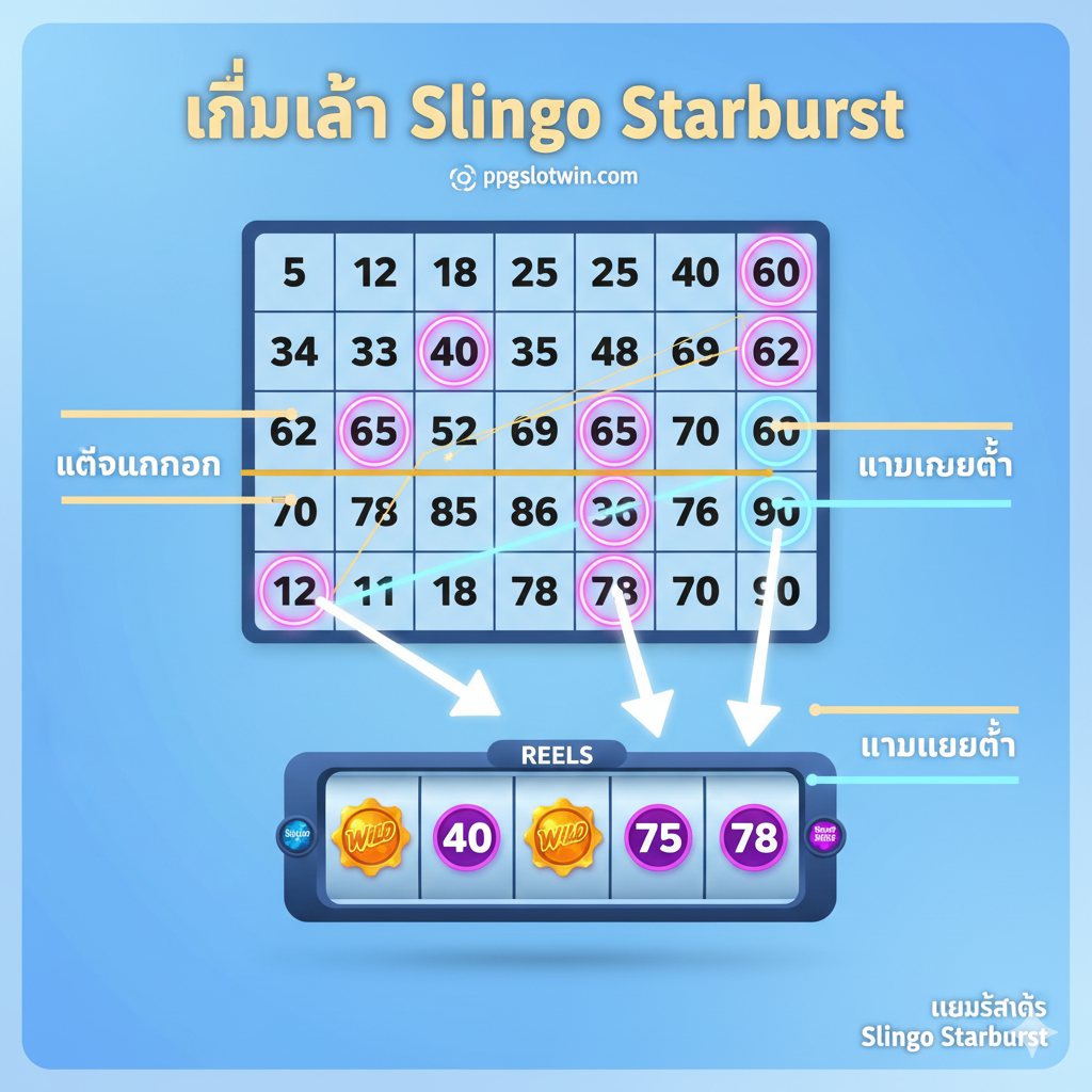 ภาพอธิบายวิธีการเล่น Slingo Starburst แบบง่ายๆ เน้นองค์ประกอบของตาราง 5x5 และวงล้อ 5 ตัวด้านล่าง โดยมีลูกศรชี้ให้เห็นขั้นตอนการเล่น: ตัวเลขจากวงล้อด้านล่างถูกนำไป 'Mark Off' บนตารางด้านบน ใส่สัญลักษณ์ Wild และ Super Wilds เพื่อแสดงตัวช่วยพิเศษ ใช้สีพื้นหลังที่สะอาดตา เช่น สีน้ำเงินอ่อนหรือสีฟ้าอ่อน เพื่อให้ตัวเลขและเส้นบิงโก (Slingo Lines) โดดเด่น ชี้ให้เห็นถึงความแตกต่างระหว่างการทำเส้นแนวนอน แนวตั้ง และแนวทแยง เพื่อเป็นภาพประกอบสำหรับส่วน 'กลไกของ Slingo Starburst' ในบทความ